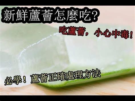 炒蘆薈|新鮮蘆薈怎麼吃【必學！蘆薈正確處理方法】超好吃！長見識了！。